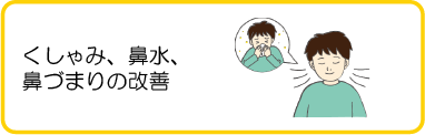 くしゃみ、鼻水、鼻づまりの改善