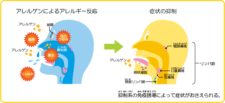 効果を発現するメカニズム