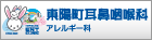 東陽町耳鼻咽喉科