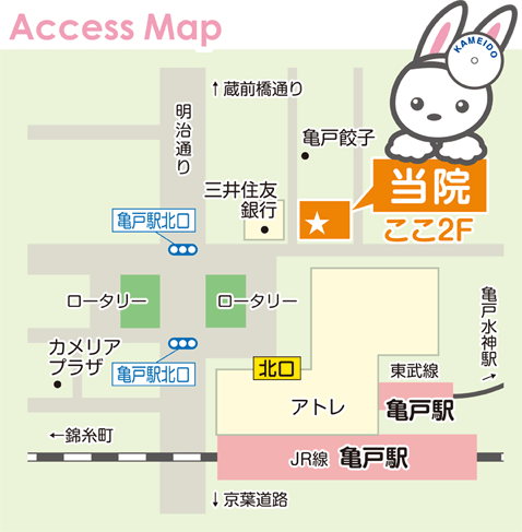 Access Map